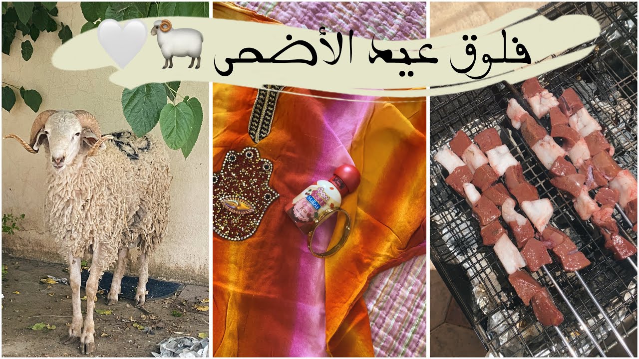 فلوق عيد الأضحى 2024 🐏🤍