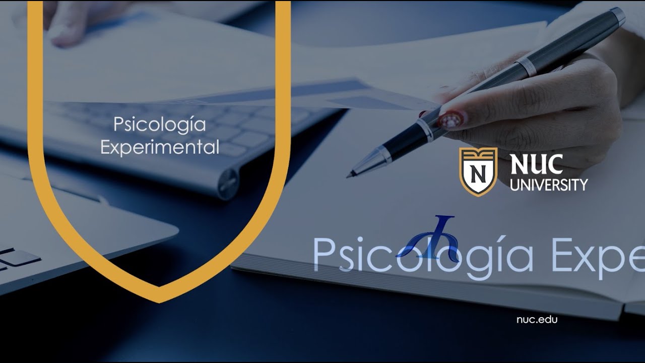 Psicolog&iacute;a Experimental