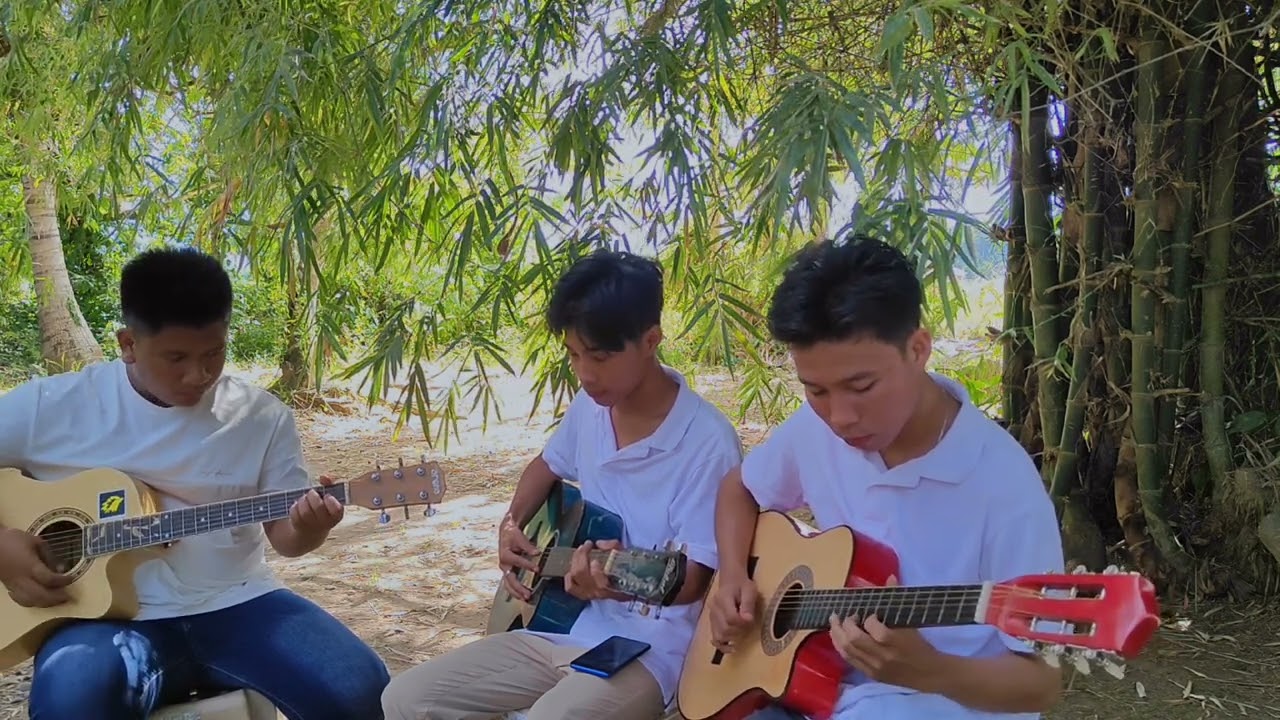 Ladyfingers guitar cover