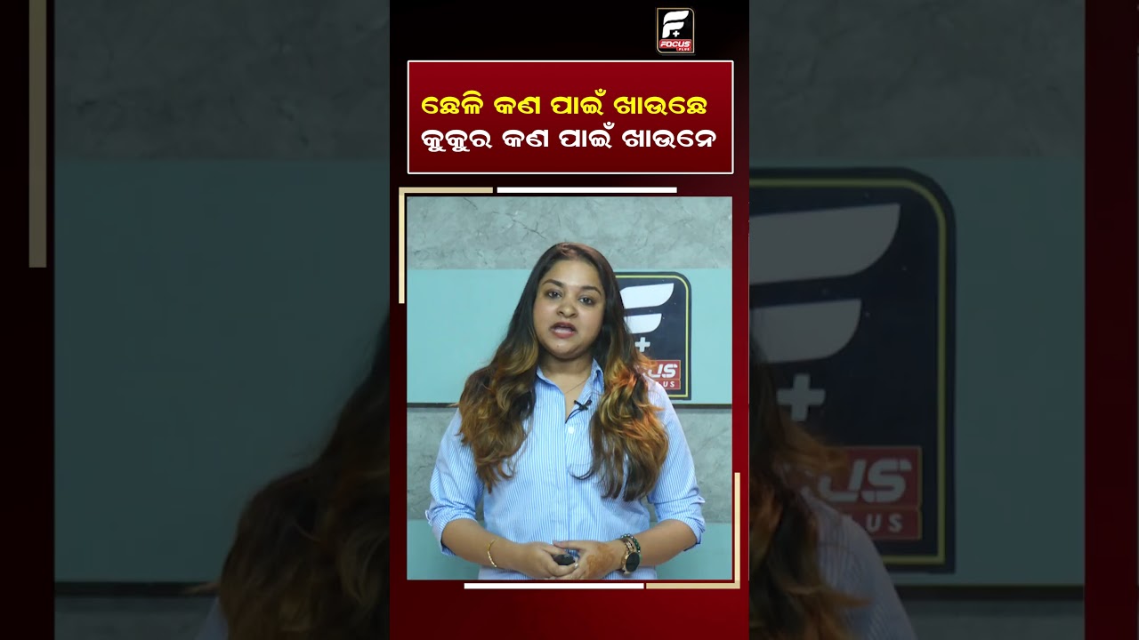 ଛେଳି କଣ ପାଇଁ ଖାଉଛେ କୁକୁର କଣ ପାଇଁ ଖାଉନେ ll FOCUS PLUS ||