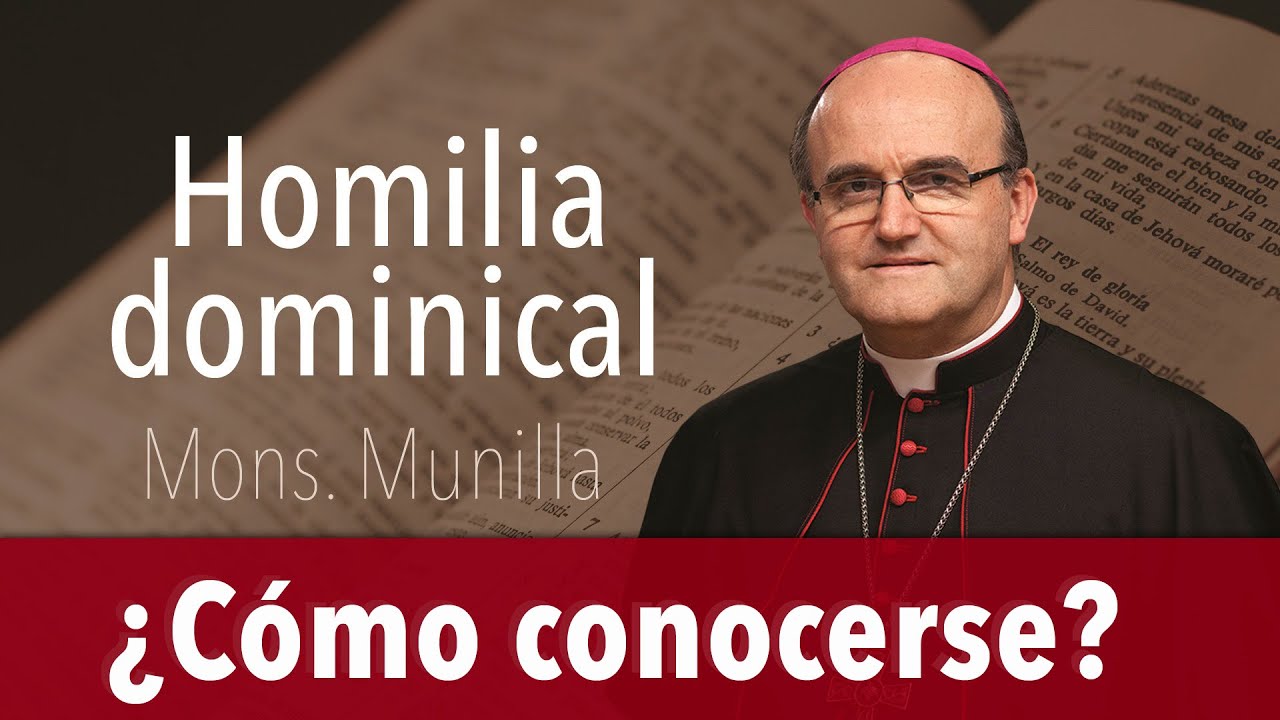 Homilía 2.3.2025 / Domingo 8º del Tiempo Ordinario