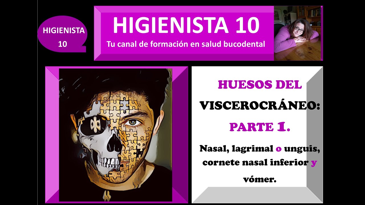 HUESOS DEL VISCEROCRÁNEO PARTE 1: NASAL, LAGRIMAL O UNGUIS, CORNETE NASAL INFERIOR Y VÓMER.