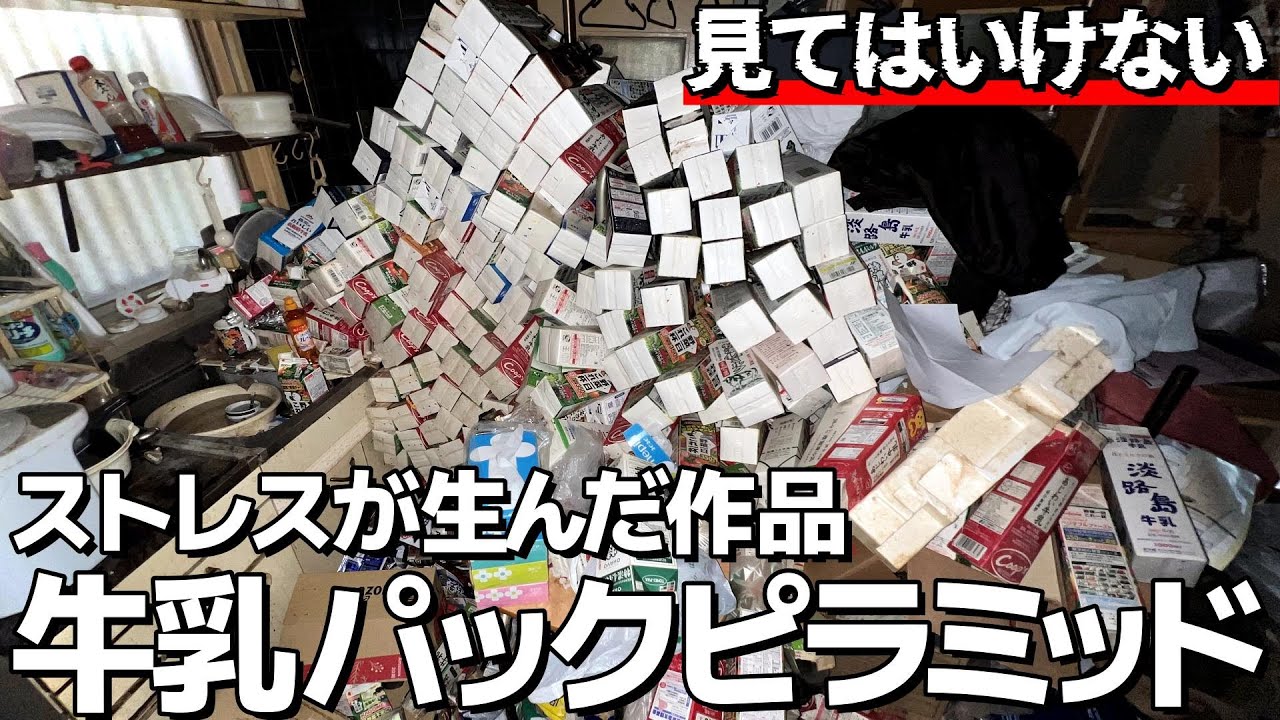 【どうしてこうなった…】全ての光を遮断した部屋！そして暗闇の奥には身の毛もよだつ異様な光景が…！現代のストレス社会を象徴するゴミ屋敷を全力でお片付けしました！【ゴミ屋敷清掃】