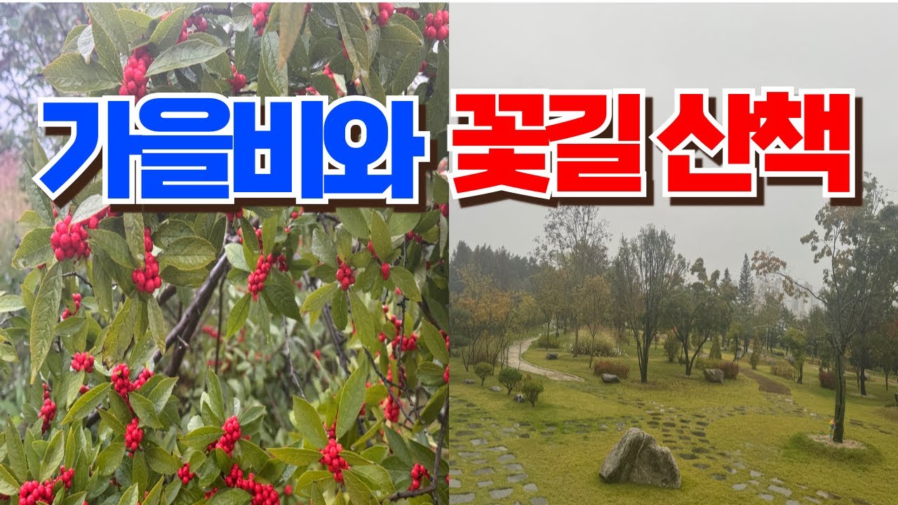 가을비와 꽃길 산책~~~