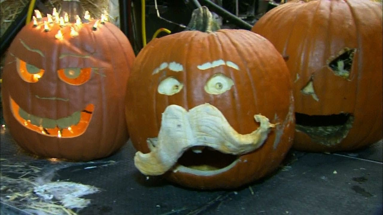 Detroit Zoo Boo