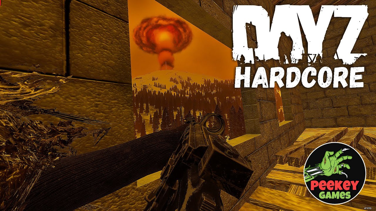 🛑 Dayz PVP 1pp  