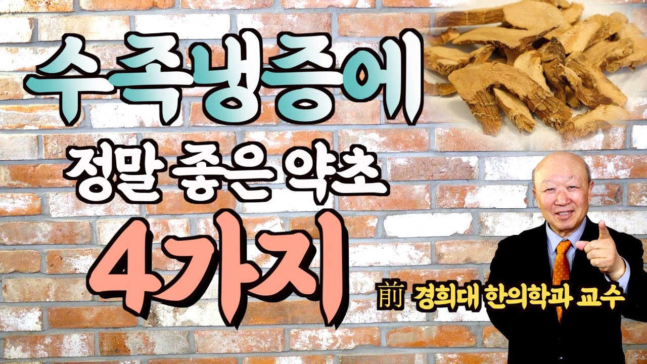 수족냉증을 가라앉힐 때 먹어야 하는 약초 4가지[평소 손, 발이 차가우신 분들 꼭 보세요]