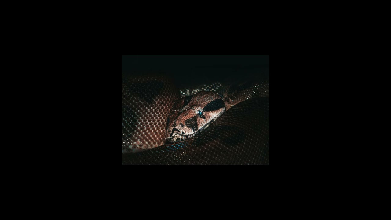 [FREE] FUTURE X DARK TRAP TYPE BEAT 