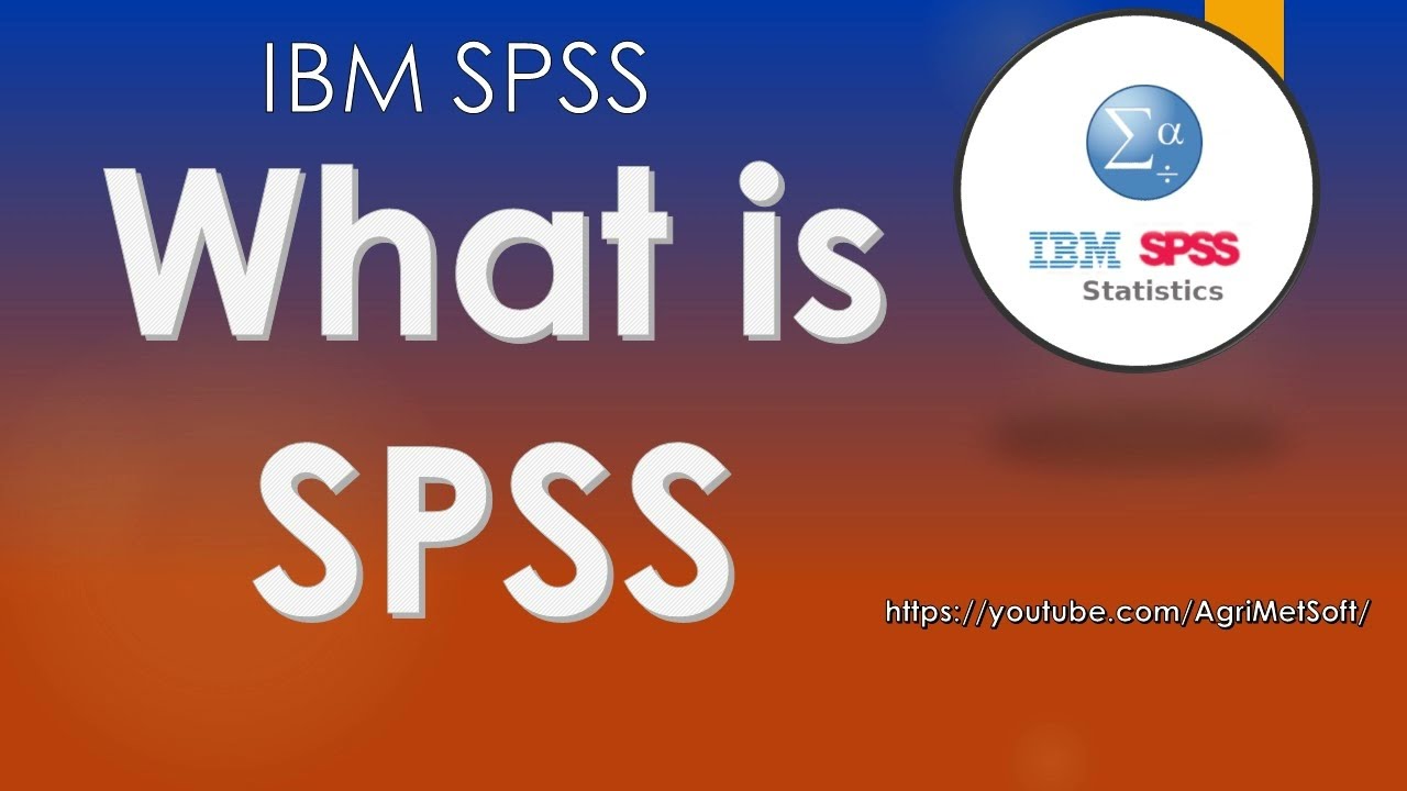 Что такое программное обеспечение SPSS?