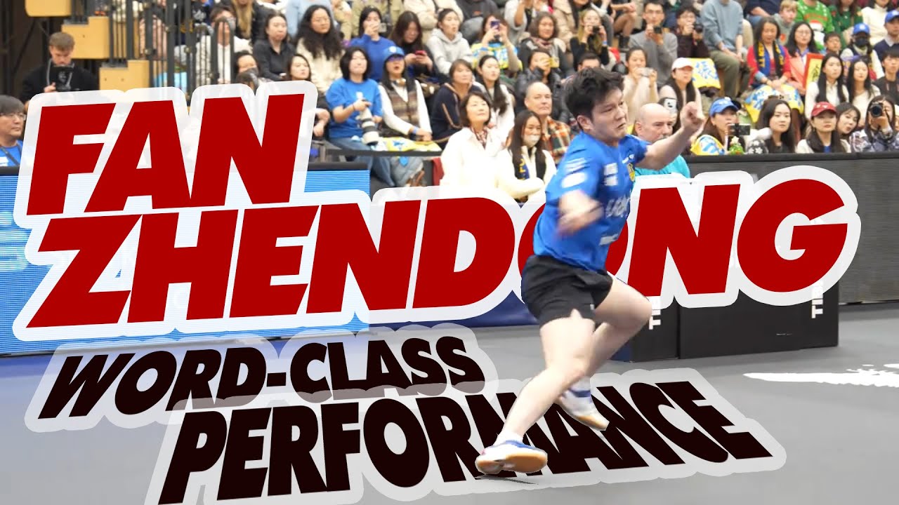 Fan Zhendong in Focus | World-Class Performance | Slow Motion