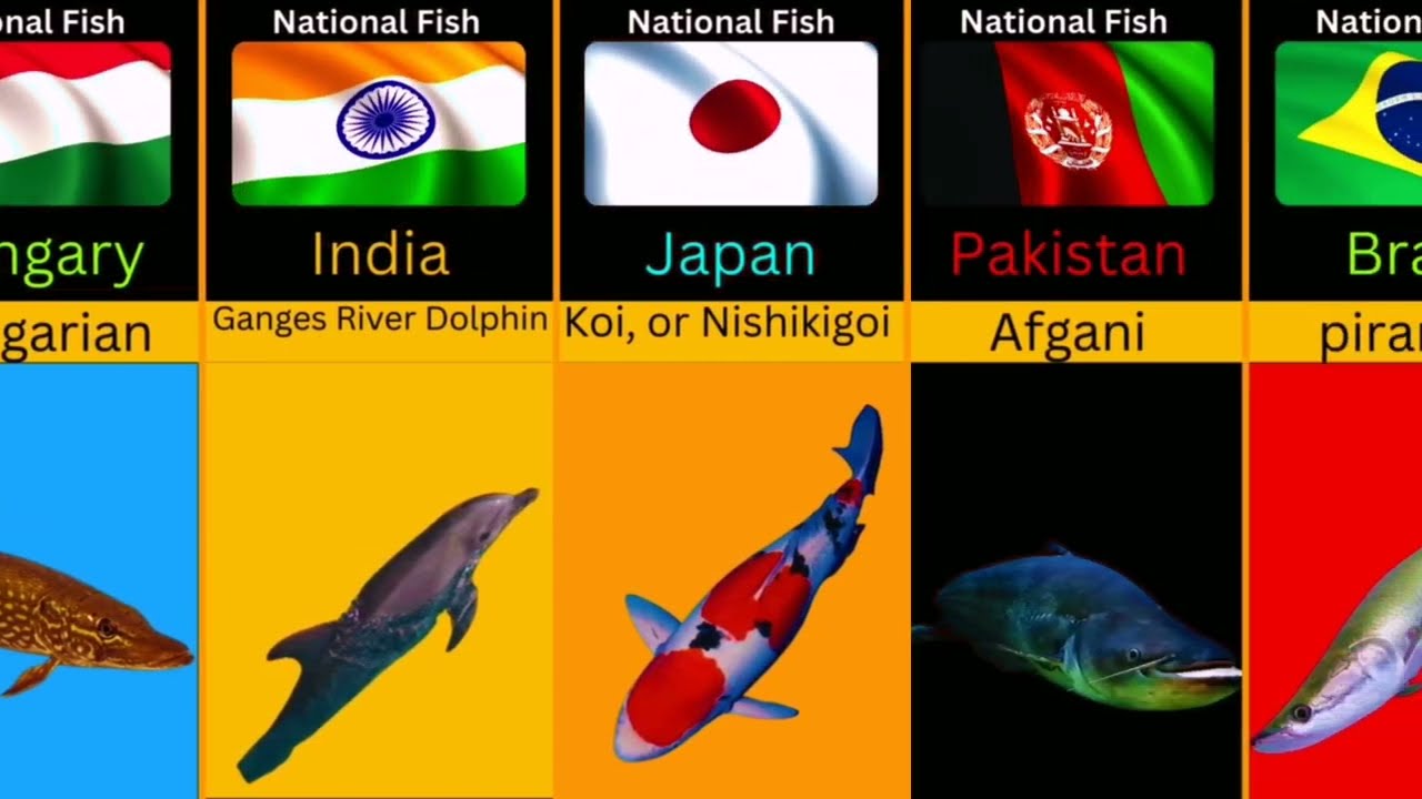 National Fish OF Different Countries