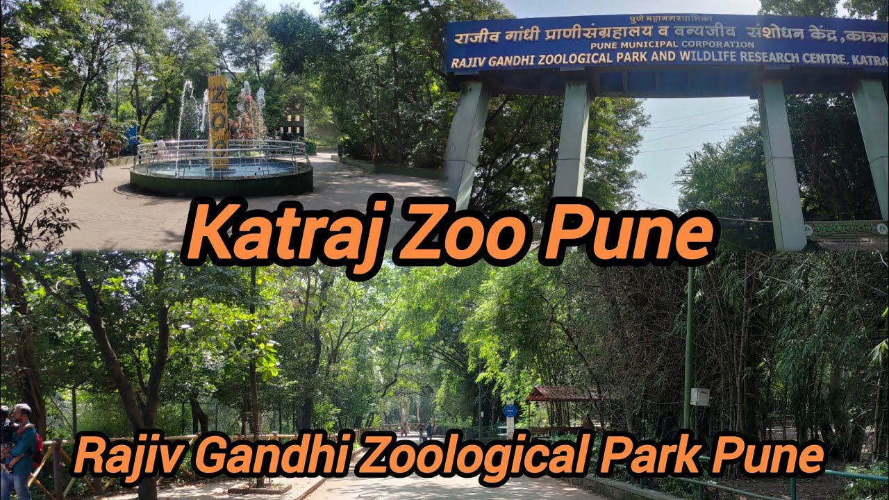 Katraj Zoo Pune | Rajiv Gandhi Zoological Park Pune | Katraj Zoo Tour | पुणे का सबसे सुंदर Zoo 😍