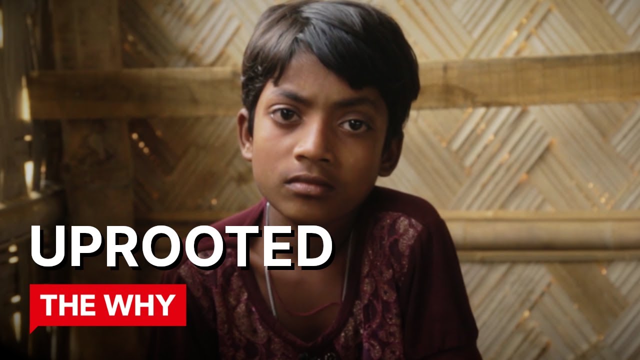 Uprooted: Testimonies by Rohingya Women ⎜THE WHY ⎜(Documentary)