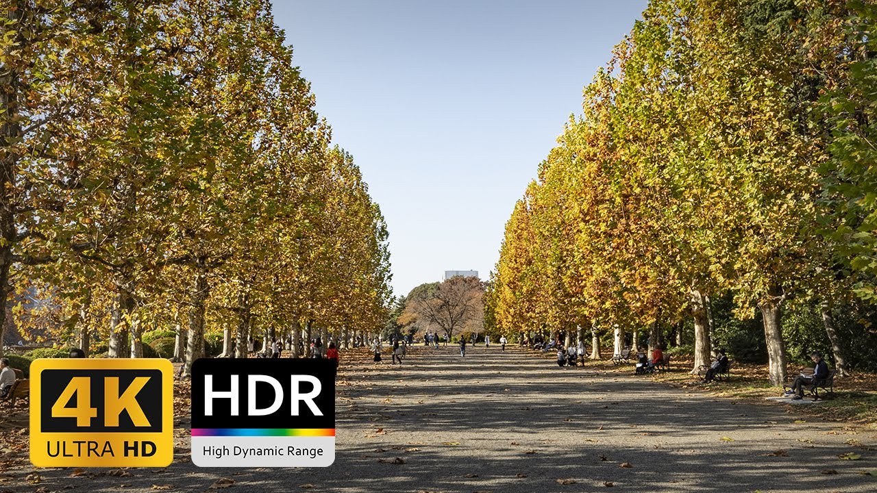 Shinjuku Gyoen National Garden Autumn Walk - 4K HDR
