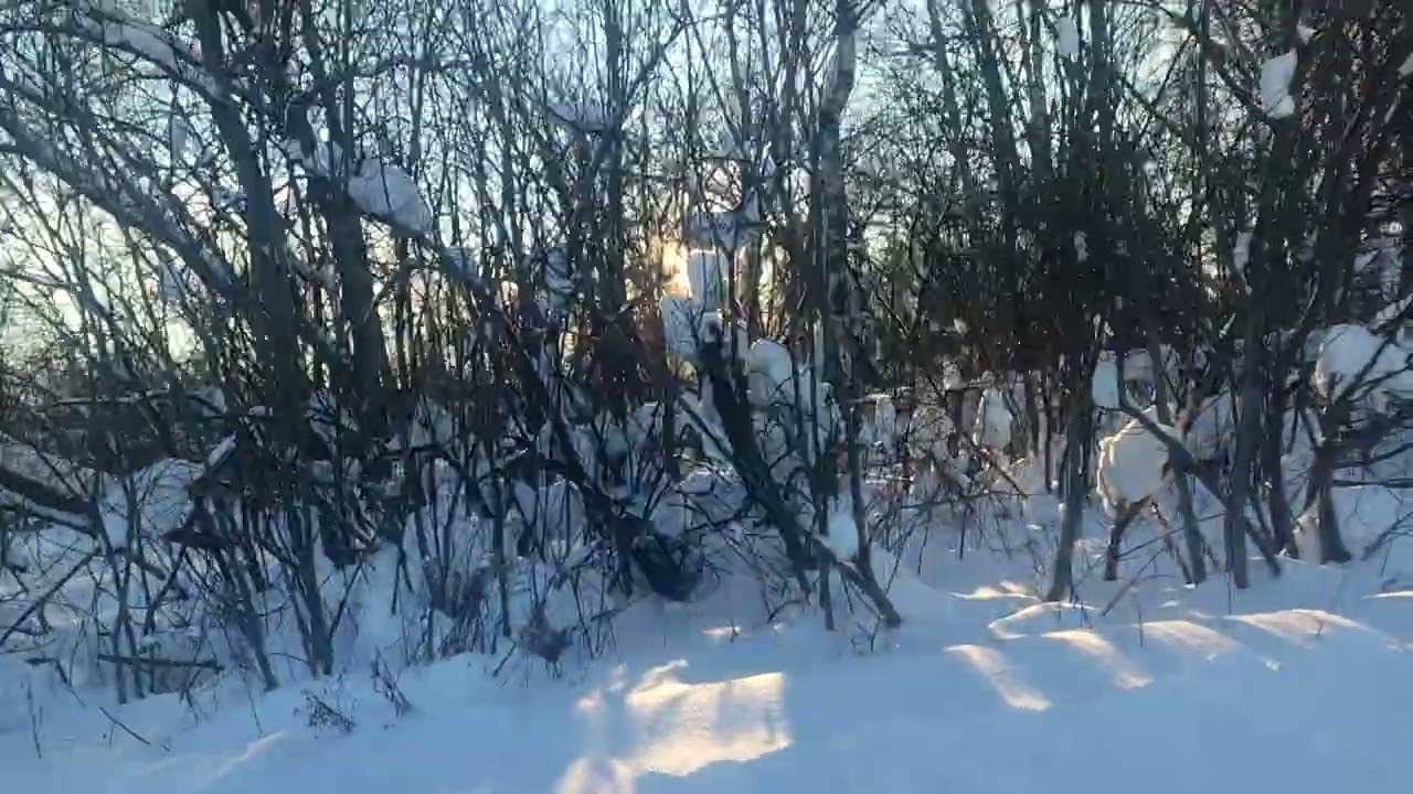 3 февраля 2026 г.