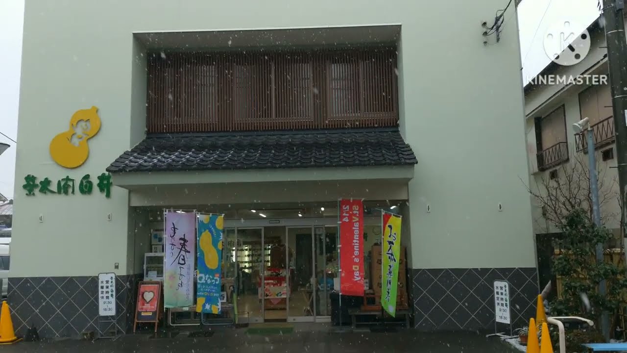 【茂原探訪】4K・雪の榎町通り🛤️💭2026年2月７土🗼