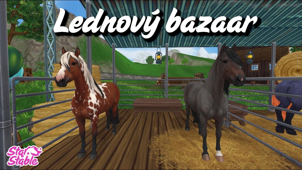 Lednov&yacute; bazaar | Nakupovačky | SSO