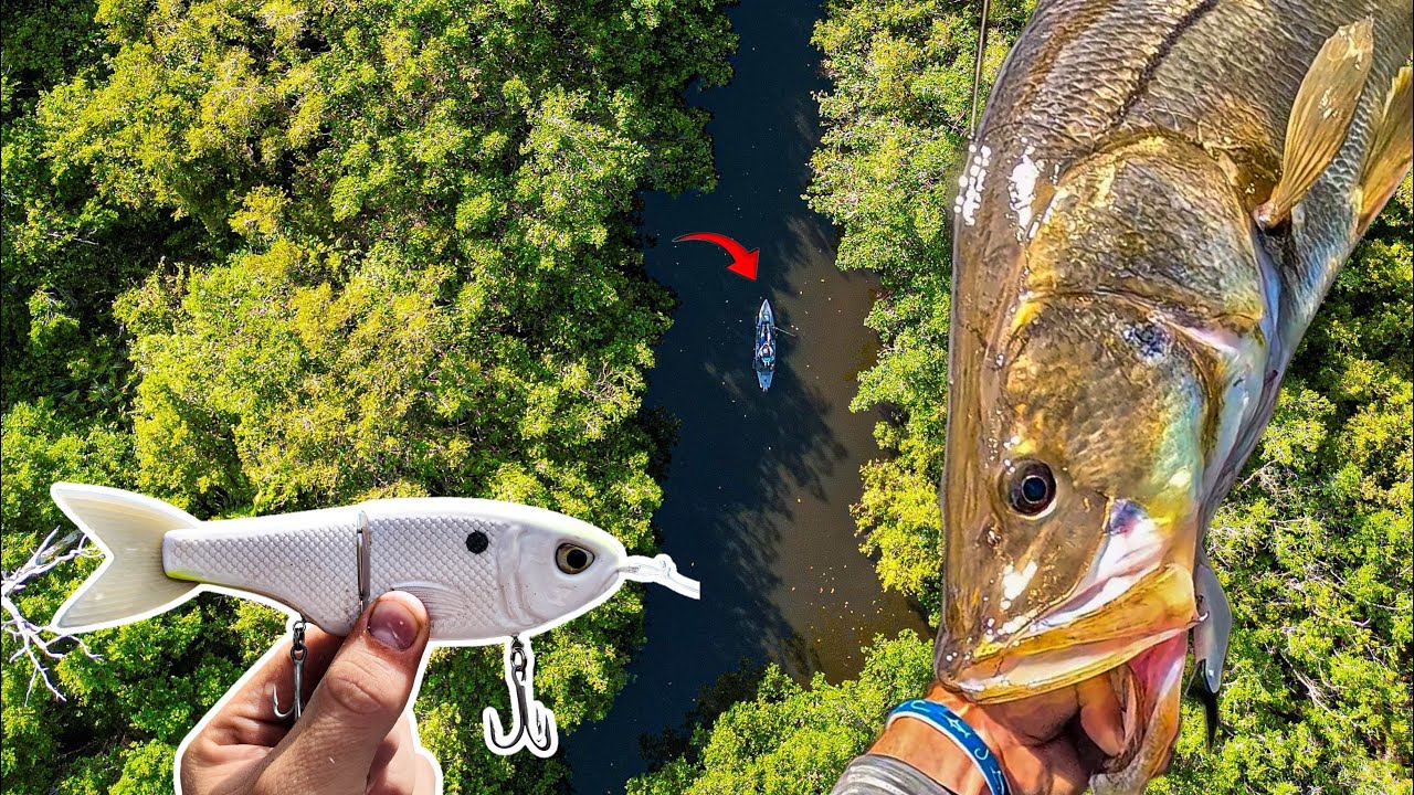 Chasing GIANT SNOOK in THE FLORIDA JUNGLE! (MY 2 BIGGEST EVER?) GLIDE BAIT VOL. 1
