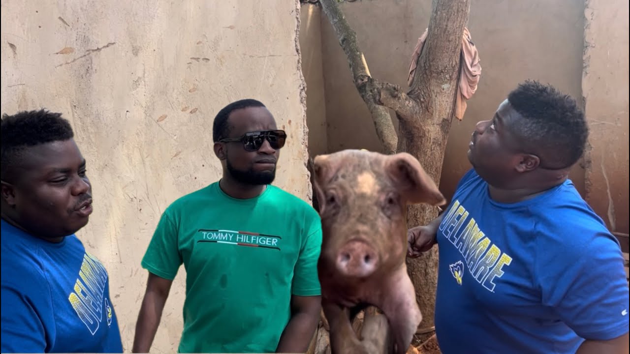 Kasuku Ageze Mungurube😀Semuhungu Azigezemo Biba ibindi Ibibaye Biteye ubwoba