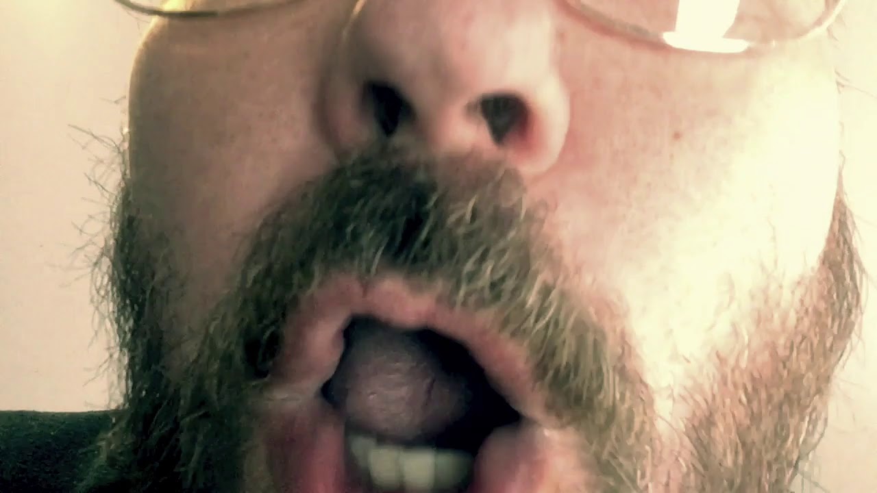 Fynsk Dansk Ordbog Rap