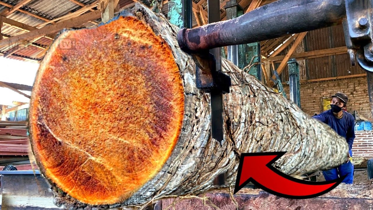 Best Sawmill Blades for Old Coconut Wood: Fine, Precision Wood Results