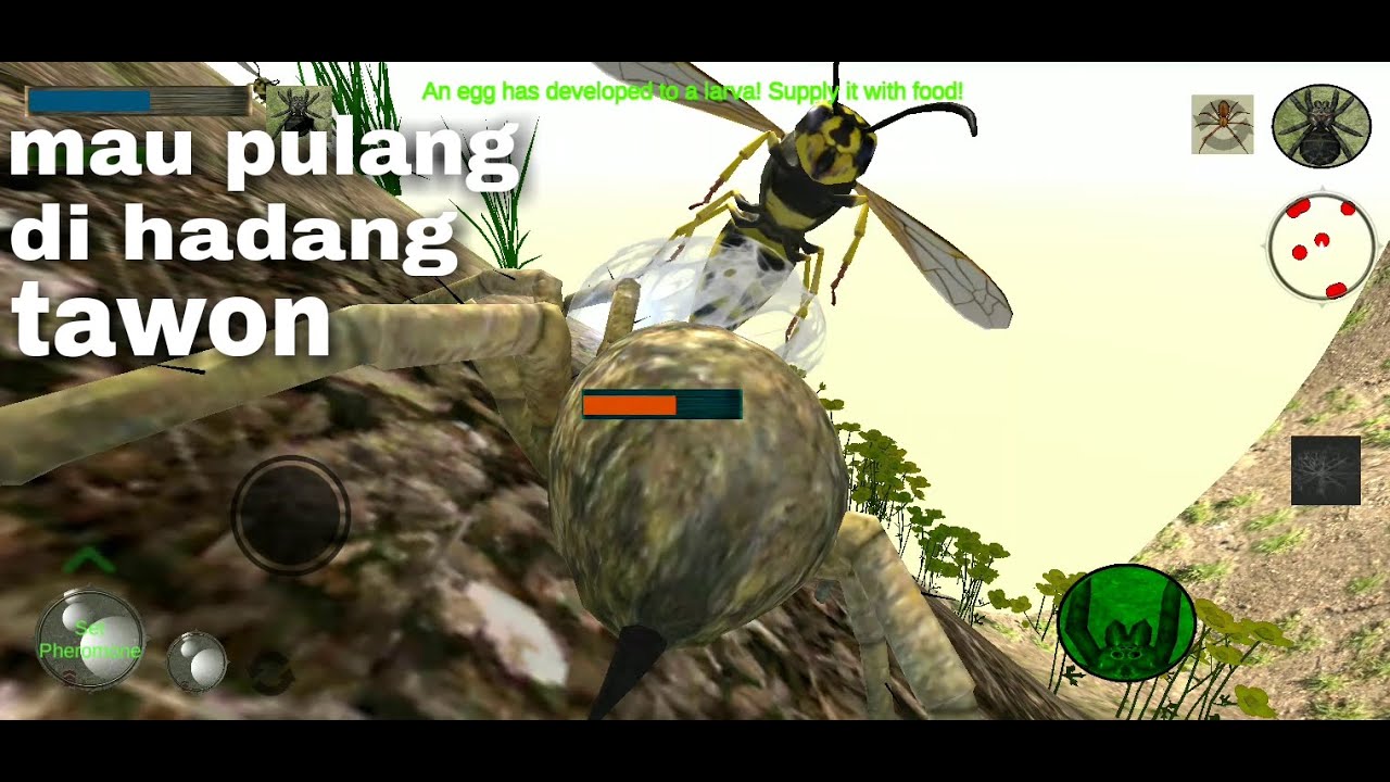 Wolf spider gamply simulation 3D