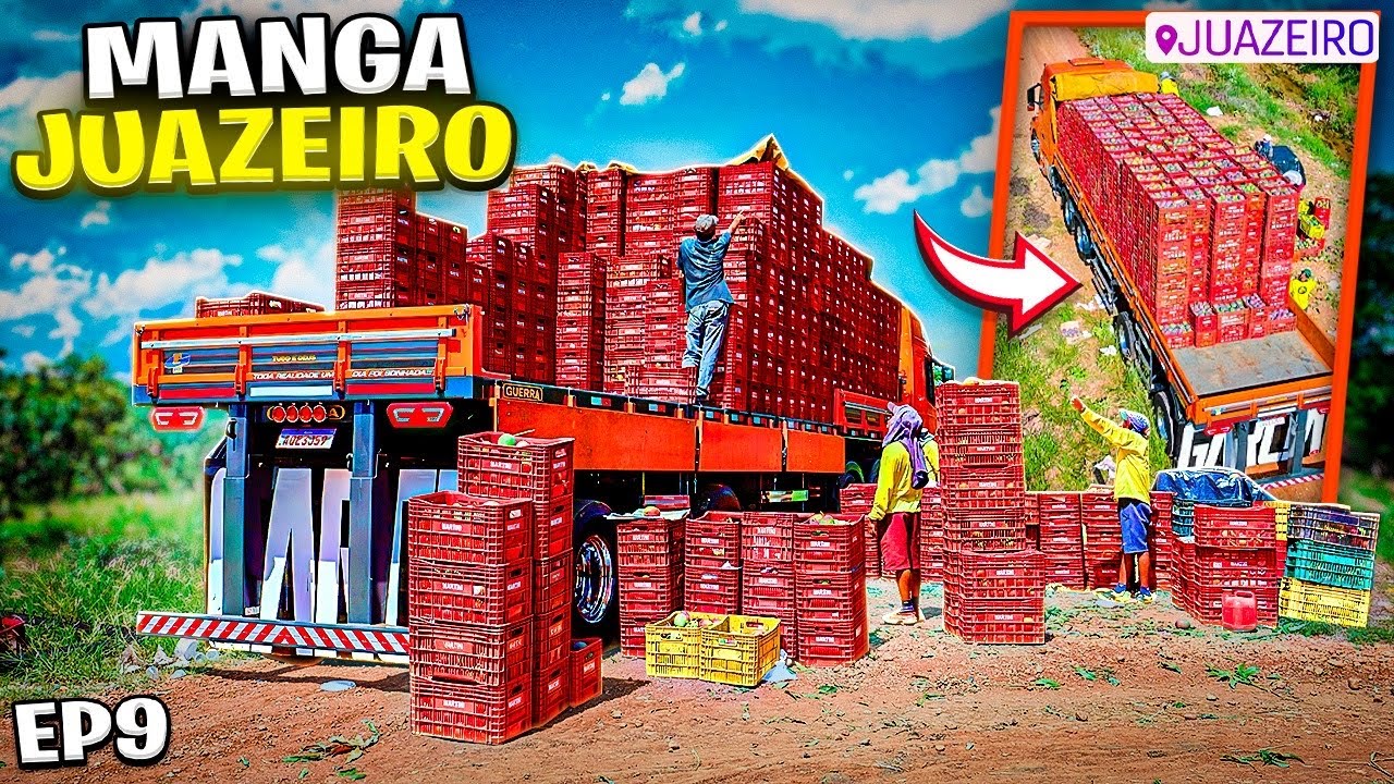 PRIMEIRA CARGA DE MANGA NO NH LARANJA EM JUAZEIRO 😱 EP9