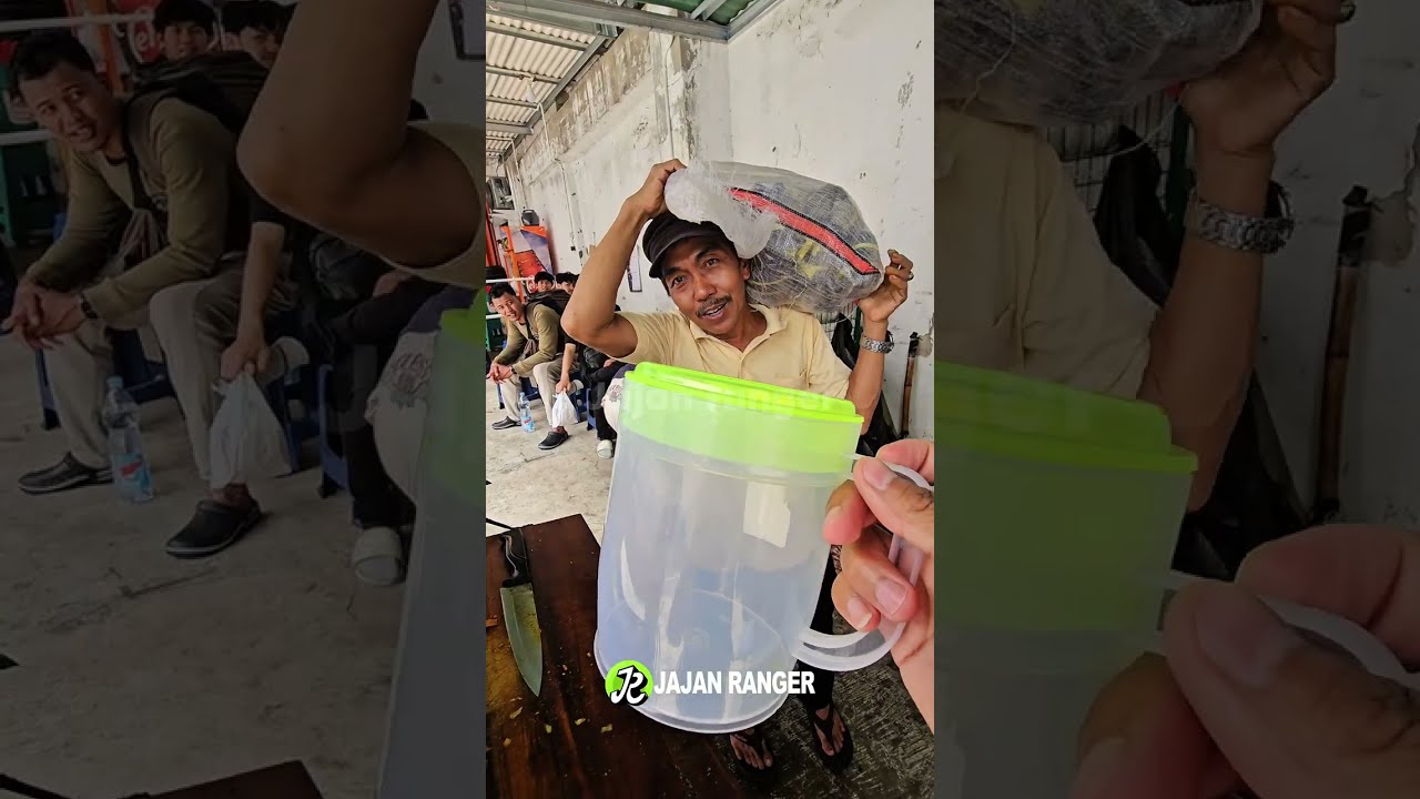Cungkring TEKO mang UCENG gak salah ini cuma 50 ribu