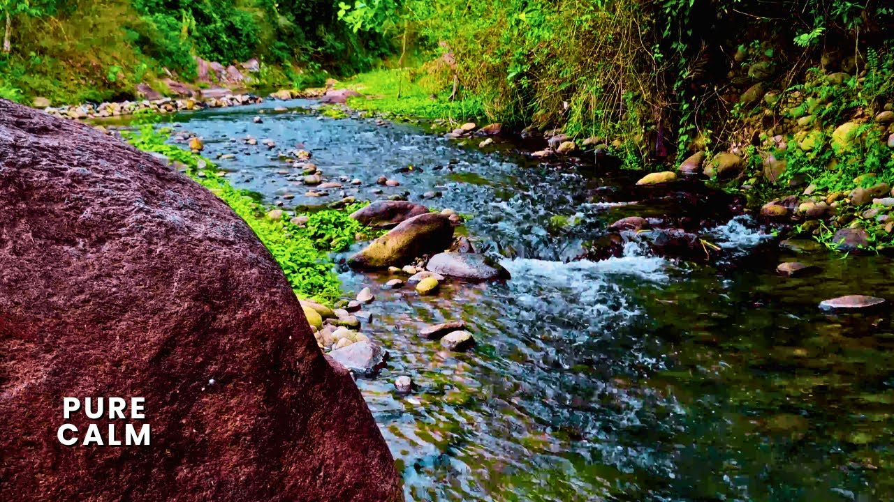 Get Rid of Nervous Tension Now: Gentle River Stream Sounds to Relief Anxiety Naturally