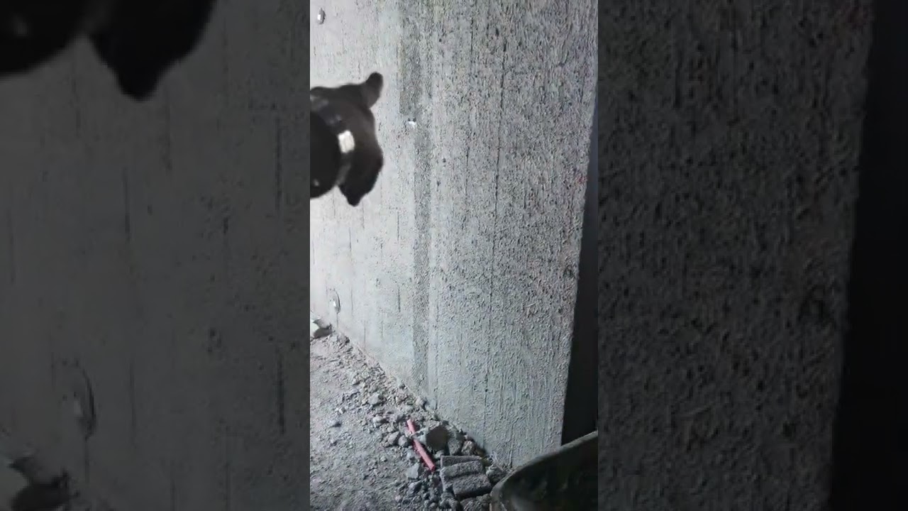 معلومات رئيسية وعامة عن اللياسة (المساح) خالد المالكي