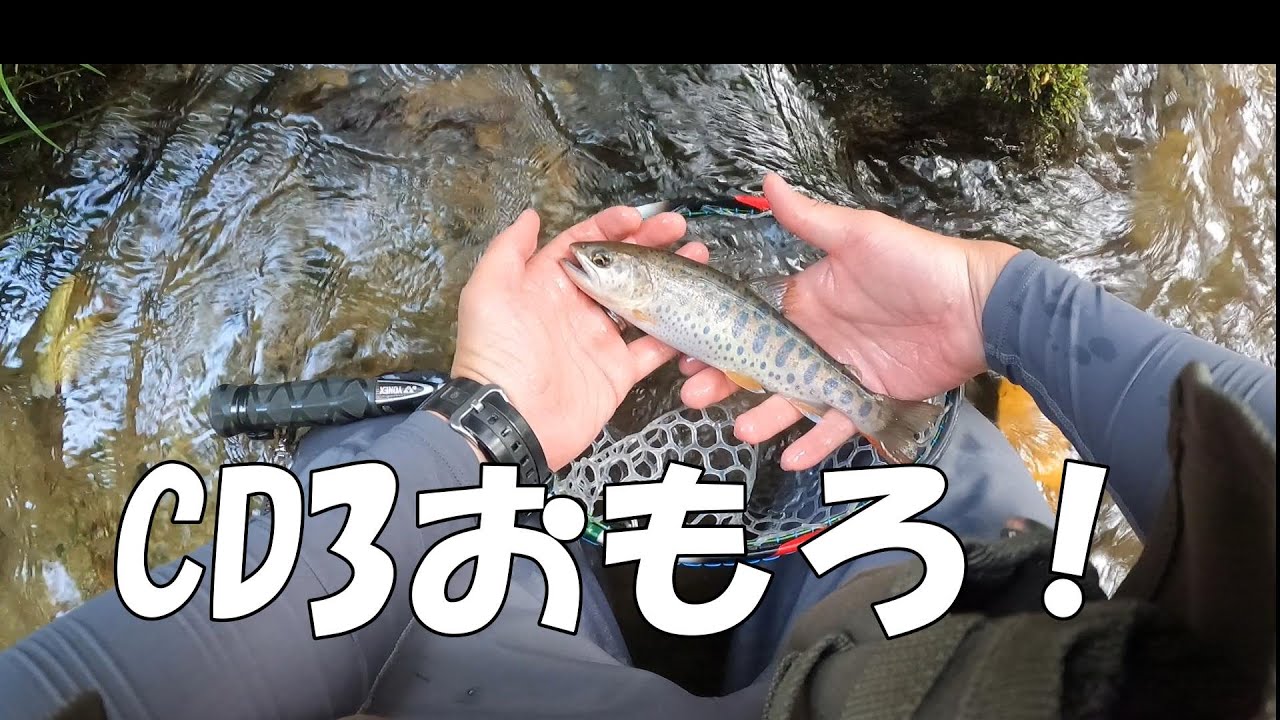 【岩手　渓流ベイト】　ラパラCD3と新色鱒レンでつり！