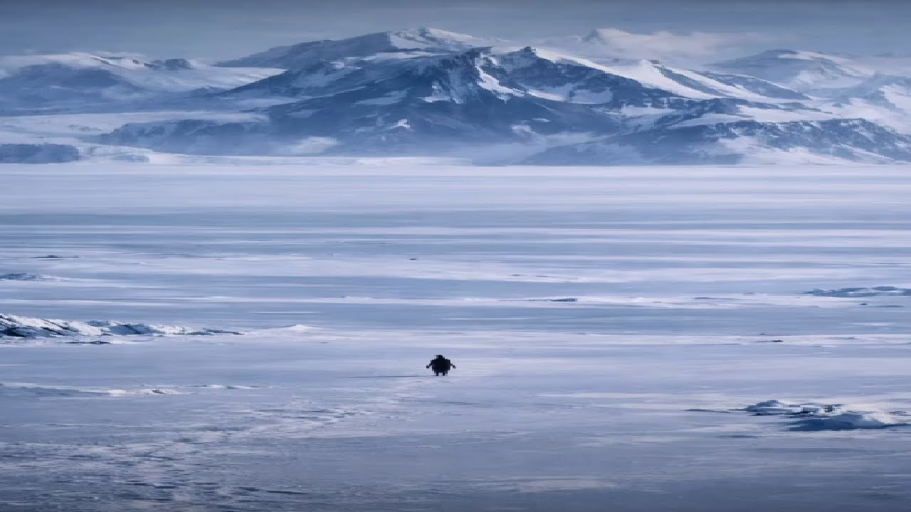Penguin.. Mountains..