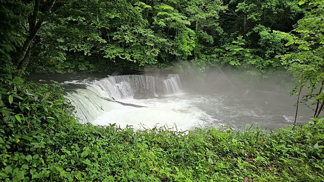 さくらの滝