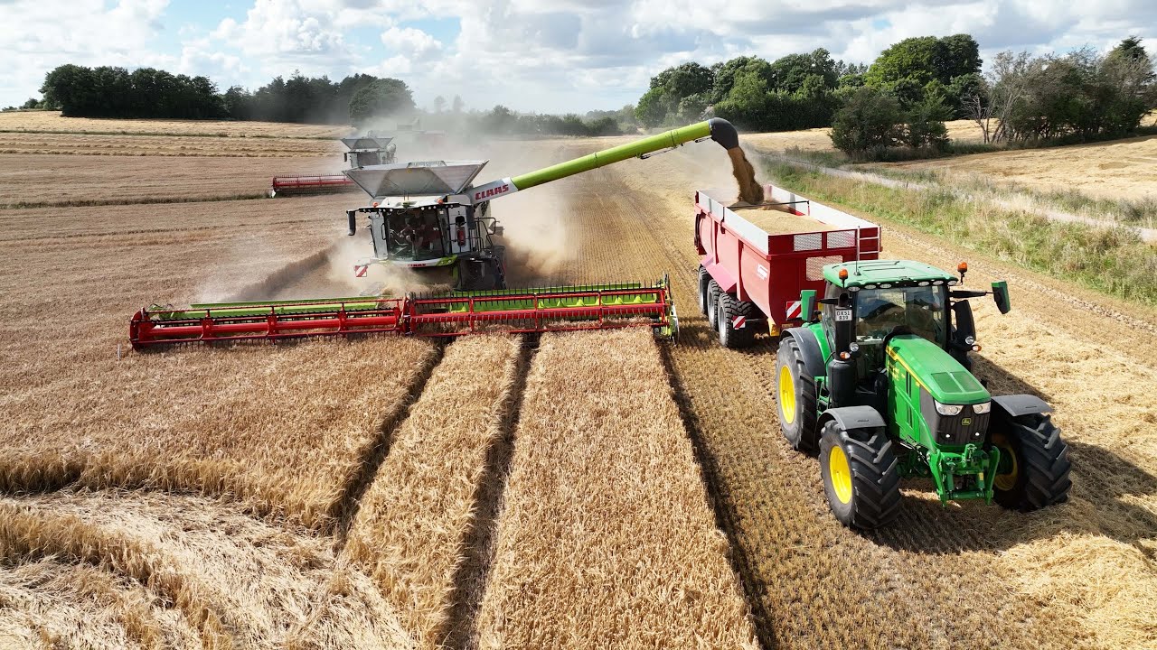 Claas Lexion 8800 with 45 ft. Convio 1380 Header Harvesting Barley | Big Harvest