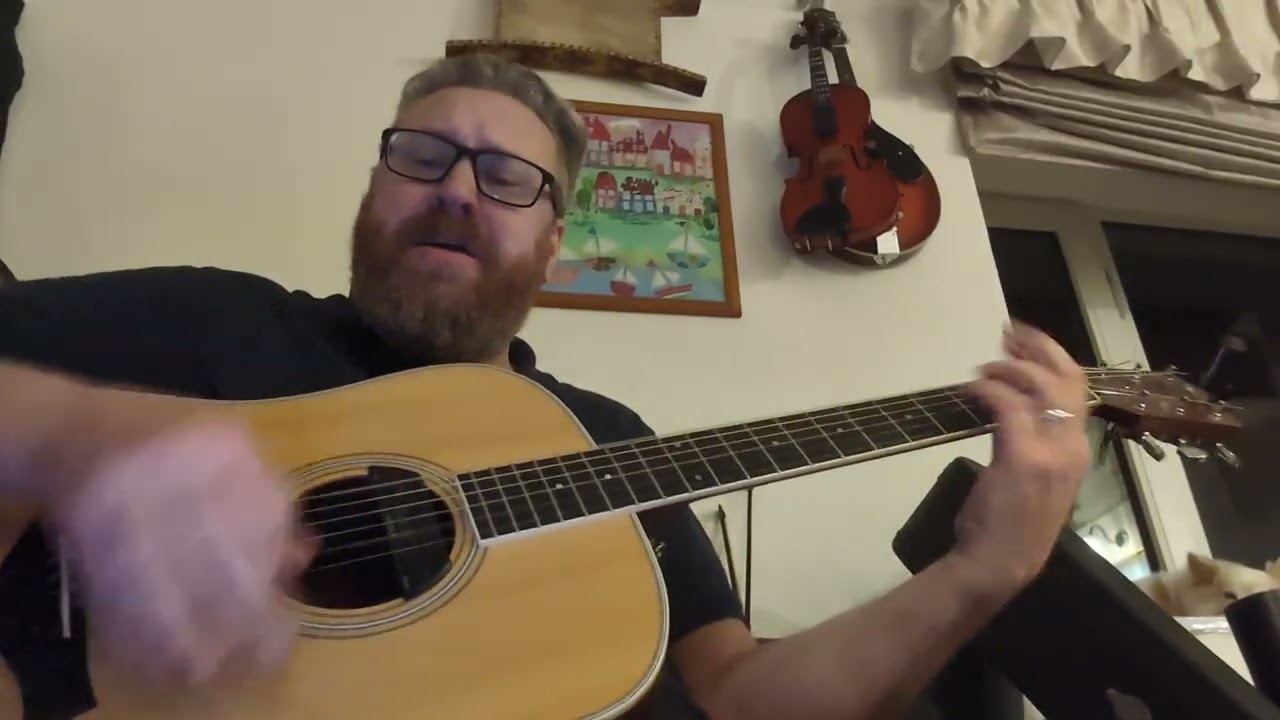You're On My Side - Seona Dancing - Acoustic Cover - Taylor DN3 #rickygervais #acousticguitar 
