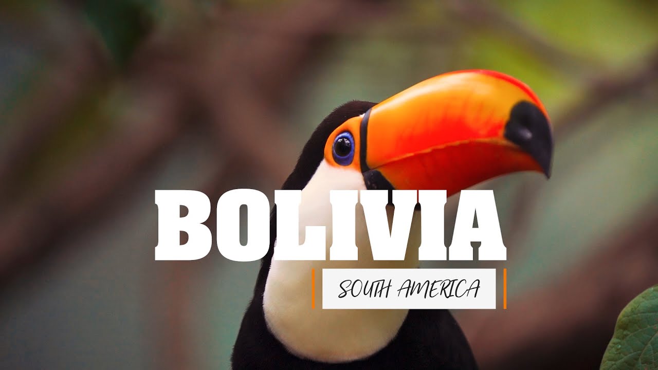 Discovering the Hidden Treasures of Bolivian Wildlife: A Journey Through the Andes & the Rainforests