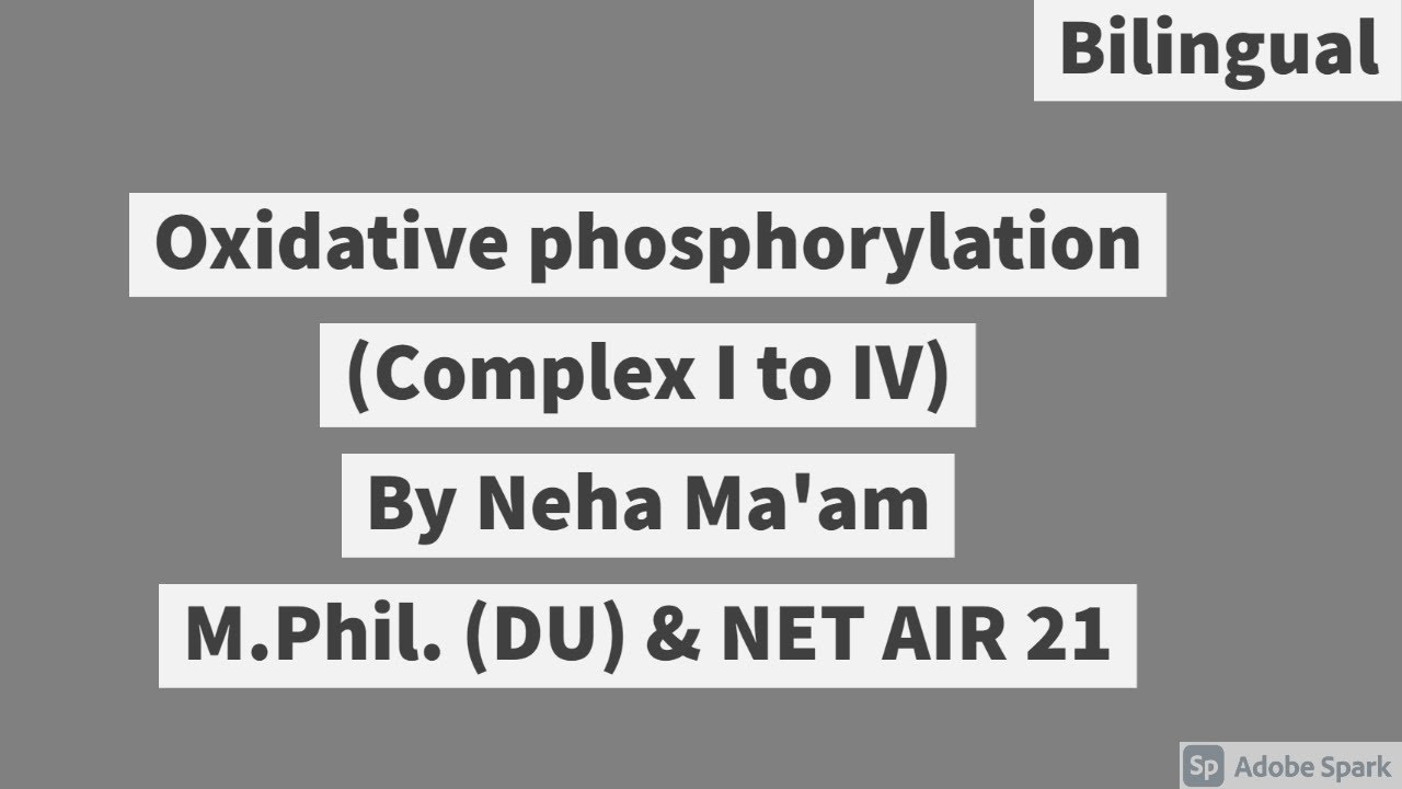 Oxidative phosphorylation | Bilingual | CSIR NET Life Sciences | M.sc. | Respiration | Bioenergetics