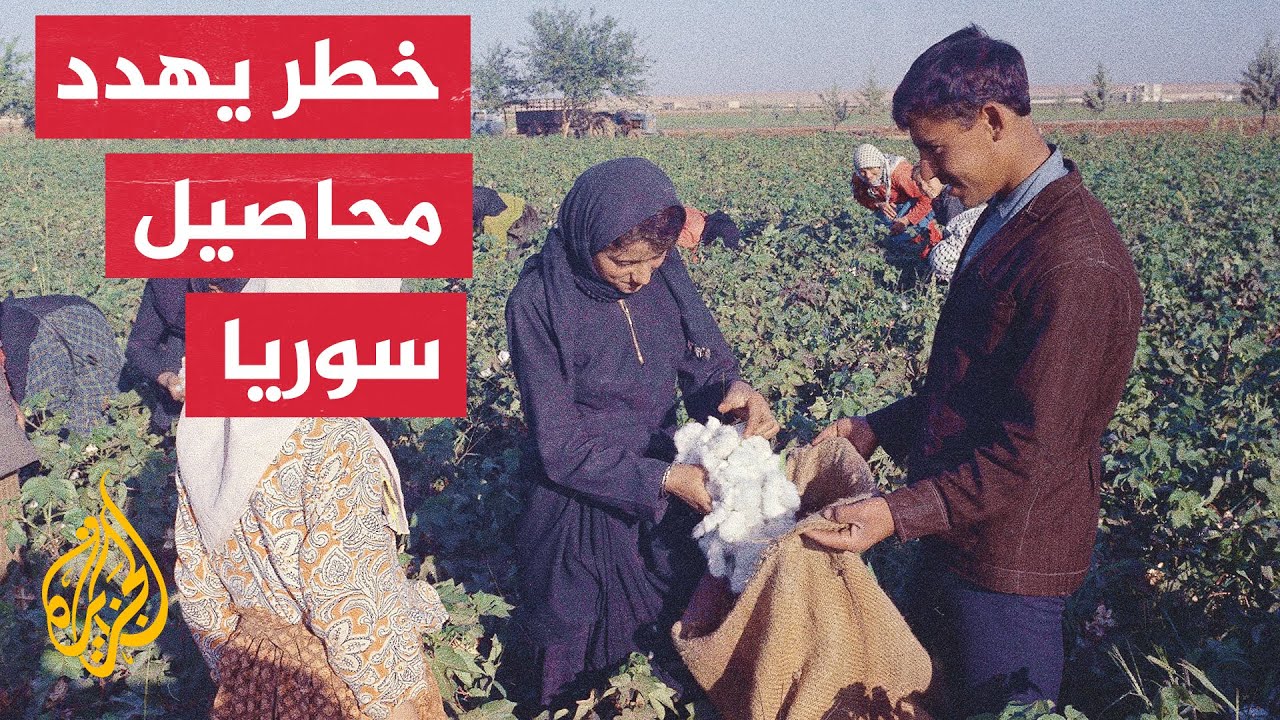 سوريا.. مستقبل الزراعة والمزارعين في سهل الغاب