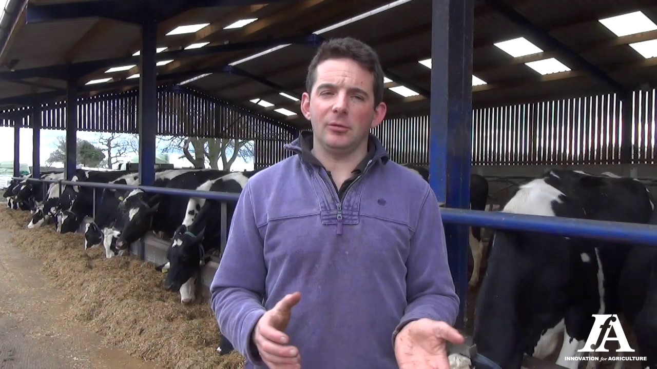 Data entry through mobile app on a dairy farm