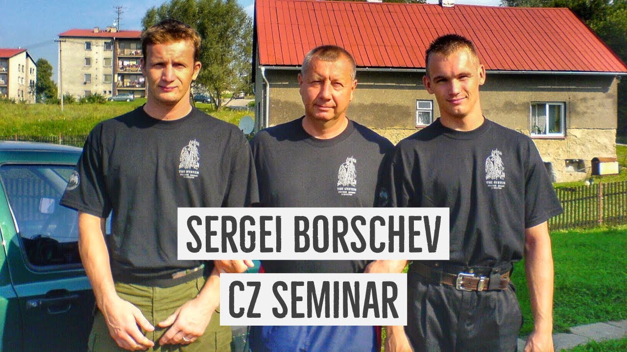 Sergei Borschev CZ seminar 2006