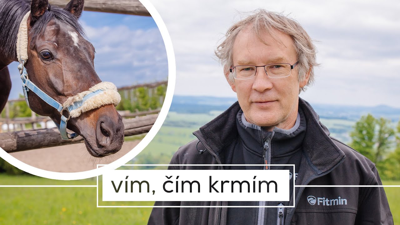 KONĚ ZE SVĚTLÉ HORY – Jak se rodí dostihoví vítězové?