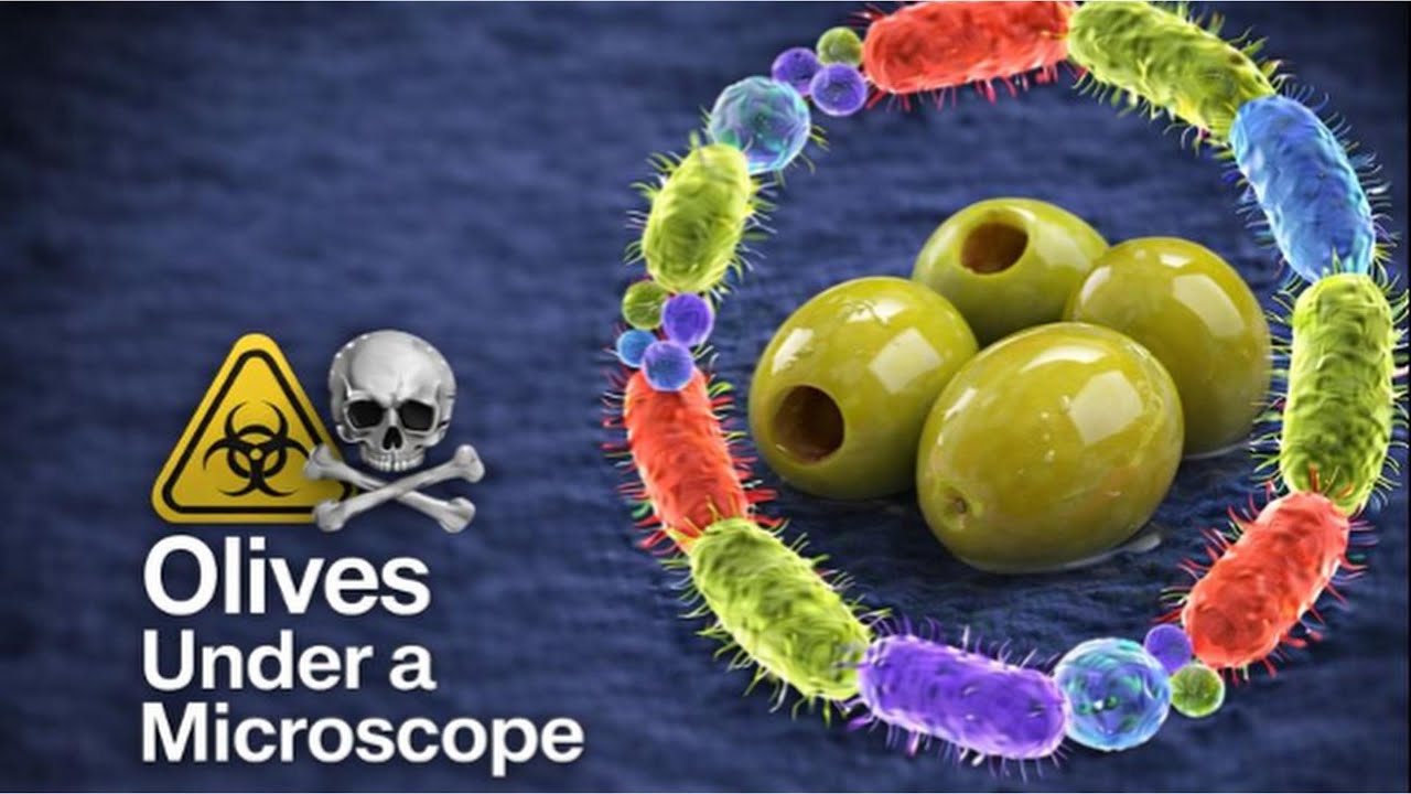 I Was Shocked When I Looked at Olives Under the Microscope