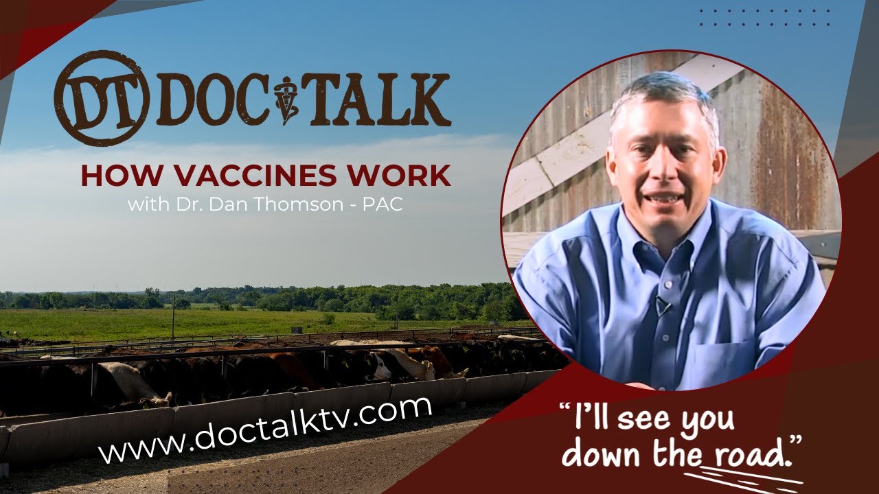 DocTalk Ep 303 - How Vaccines Work