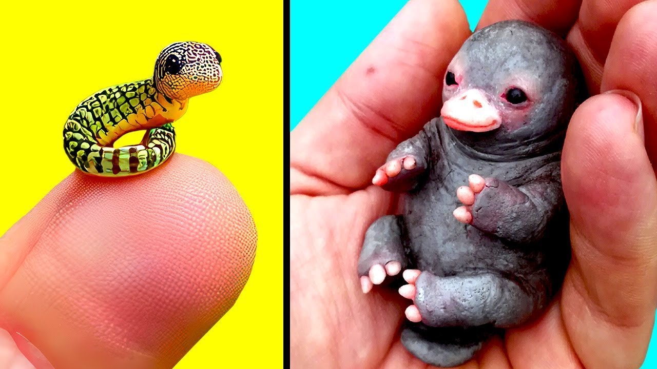 Cutest Baby Animals You Can Legally Own