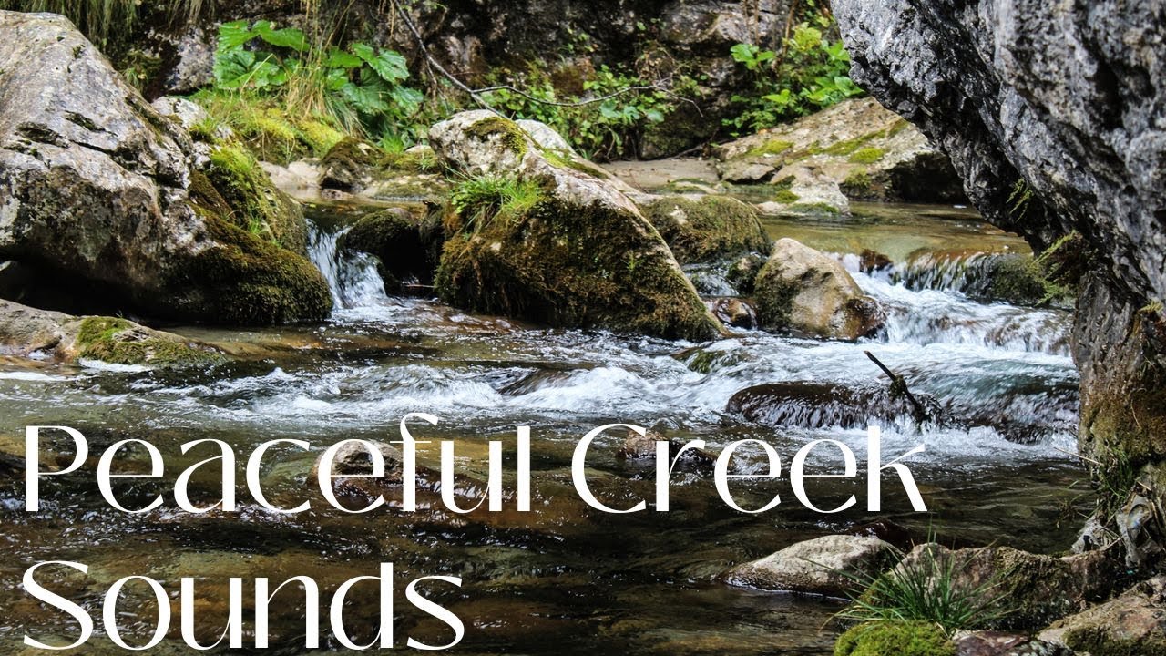 Peaceful Creek Sounds | Relaxing Nature Ambience for Calm & Relaxation