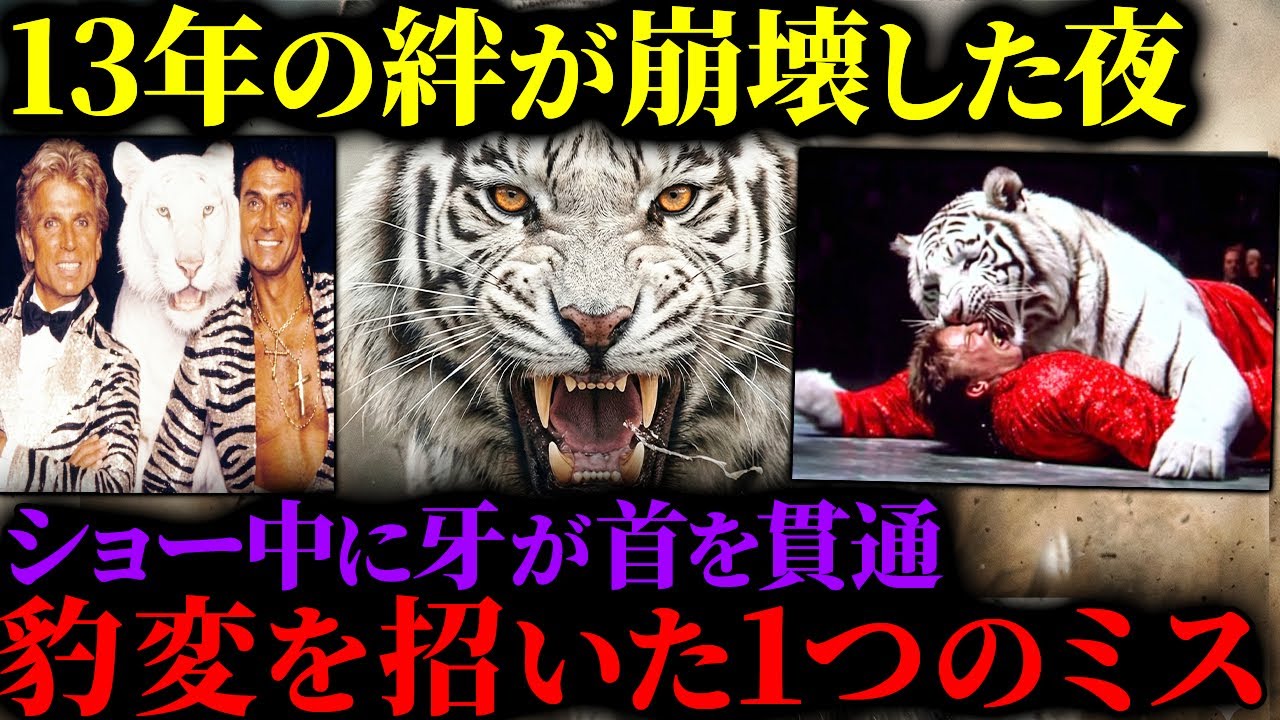 【阿鼻叫喚】安全なショーが惨劇に&hellip;猛獣のスイッチを入れた「禁断のミス」とは？