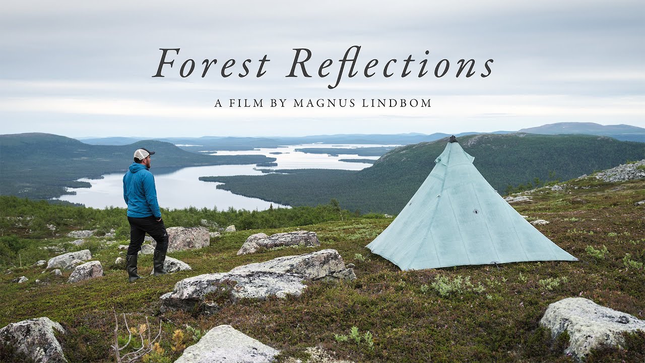 Forest Reflections (Pärlälven)