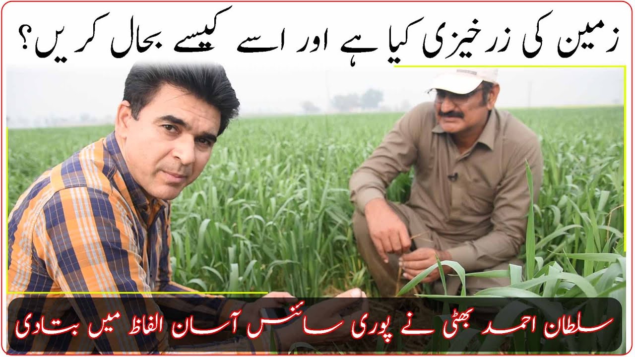 Regenerative Agriculture in Pakistan|What is soil fertility? |Sultan Ahmad Bhatti|Reduce fertilizer