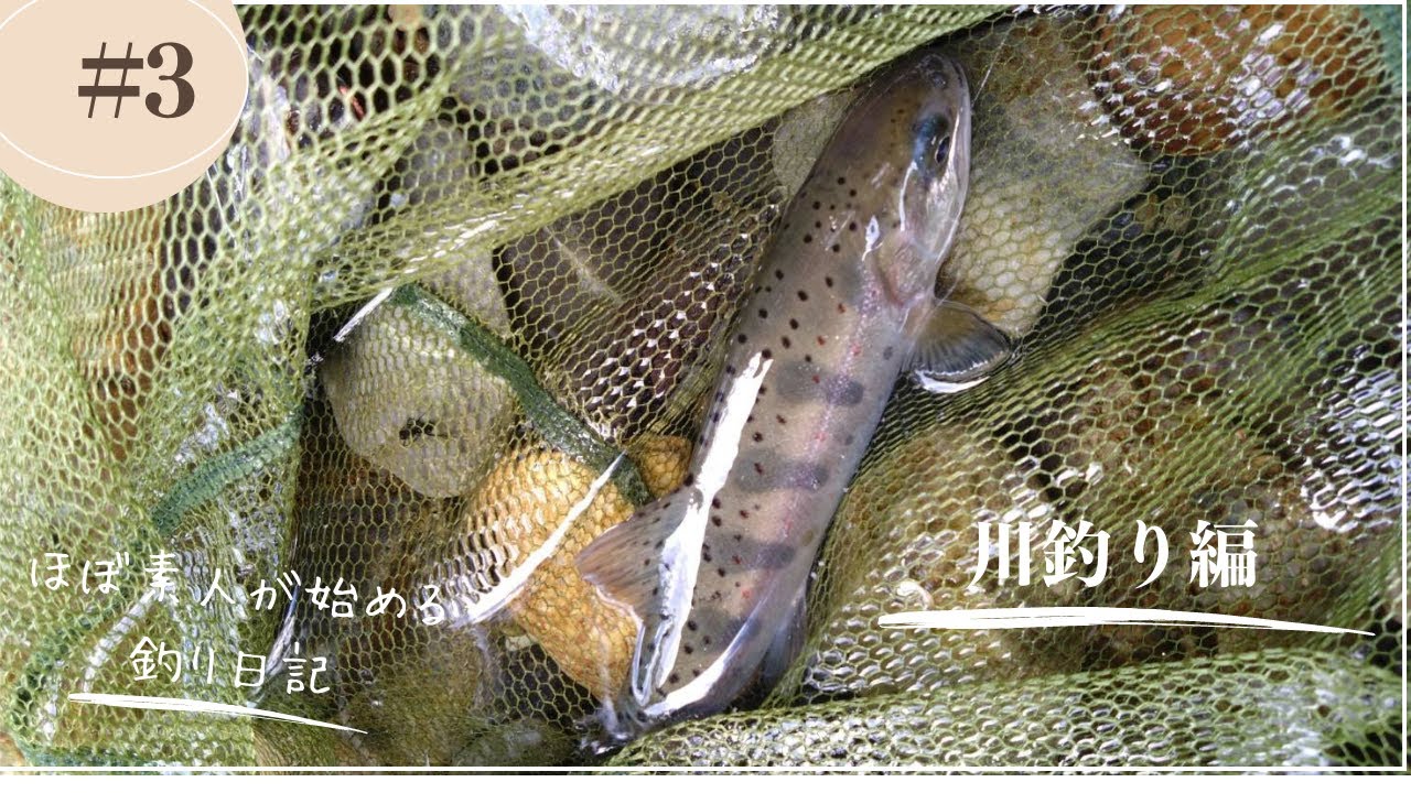 #3 　アマゴを釣りにいく　天川村編