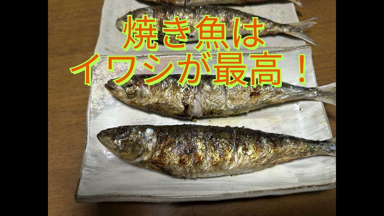 焼き魚はイワシが最高!